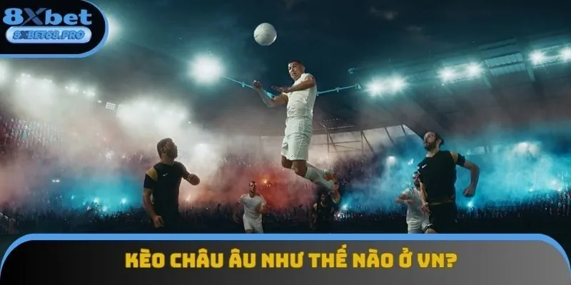 Kèo châu Âu rất được yêu thích tại thị trường Việt Nam Kèo châu Âu rất được yêu thích tại thị trường Việt Nam