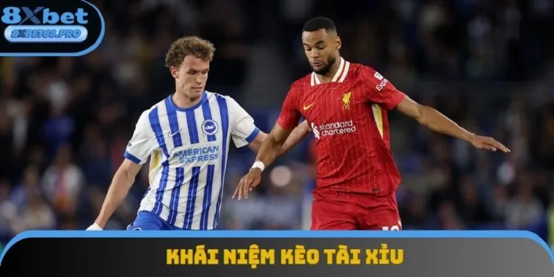 Tìm hiểu chính xác khái niệm của kèo tài xỉu bóng đá Tìm hiểu chính xác khái niệm của kèo tài xỉu bóng đá