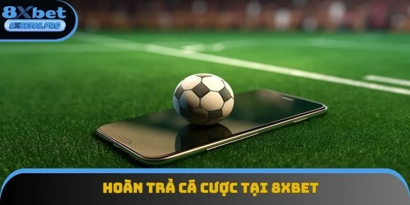 Khuyến mãi 8xbet hoàn trả các trò chơi Khuyến mãi 8xbet hoàn trả các trò chơi