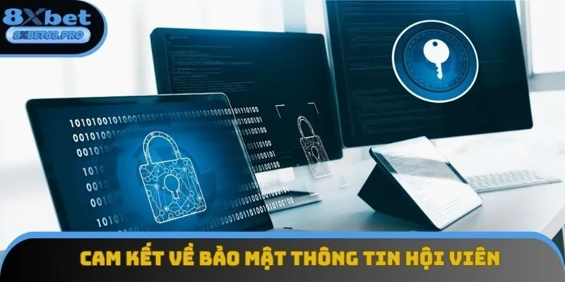 Cam kết của điểm cược bảo mật thông tin